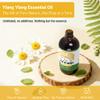 AEVUMERA Ylang Ylang Essential Oil Natural and Undiluted Ylang Ylang Oil Premium Grade for Perfume Making, Aromatherapy, Diffuser, Skin, Body Massage, Home, DIY Candle & soap - 4fl.oz/118ML view 2