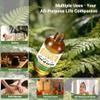 AEVUMERA Ylang Ylang Essential Oil Natural and Undiluted Ylang Ylang Oil Premium Grade for Perfume Making, Aromatherapy, Diffuser, Skin, Body Massage, Home, DIY Candle & soap - 4fl.oz/118ML view 3