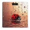 Art Ladybug Tracks Weight Scale Digital Electronic Scales Bathroom Scale, Larg LCD Backlight Display, High Precision Measurements,Tempered Glass view 1