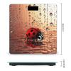Art Ladybug Tracks Weight Scale Digital Electronic Scales Bathroom Scale, Larg LCD Backlight Display, High Precision Measurements,Tempered Glass view 2