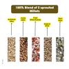 Ecomytra Sprouted Super Millets Mix Flour 100% Sprouted Ancient Millet Grains Gluten Free, High Fiber, Plant Based & Non-GMO No Preservatives Perfect for Rotis, Dosa, Porridge & Baking 1lb (454g) view 4