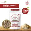 Ecomytra Sprouted Sorghum Flour (Jowar) Gluten Free Ancient Grain 100% Sprouted Great Millet High Fiber, Non-GMO & Plant Based Perfect for Baking, Porridge & Roti 1lb (454g) view 2
