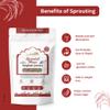 Ecomytra Sprouted Sorghum Flour (Jowar) Gluten Free Ancient Grain 100% Sprouted Great Millet High Fiber, Non-GMO & Plant Based Perfect for Baking, Porridge & Roti 1lb (454g) view 3