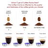 YUEHISY Refillable Coffee Capsule Cup, Reusable Coffee Pod with Brush & Spoon, Customizable Coffee Experience (220ml) view 4