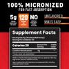 Body Fortress 100% Creatine Monohydrate Powder - Unflavored Micronized Creatine Supplement for Muscle Growth, Strength & Recovery, Pre Workout & Post Workout for Women and Men - 5g Per Scoop view 2