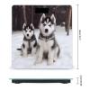 Adorable Huskies Scale for Body Weight High Precision Digital Weight Scales with LCD Display Anti-Slip Sturdy Slim Tempered Glass Bathroom Scale for Home Use view 2