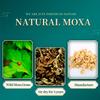 10PCS/Box Moxa Stick Handmade Moxa roll High Purity Light Smoke Moxibustion Roll Sealed and Moisture-Proof packaging1.8x20cm one Piece (MX0004) view 3