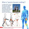 UFAGFDA Hypershell Exoskeleton,3 Level Adjustable Strength,Legs Rehab Training Equipment,Hiking and Climbing Stairs Assist,Walking Can Help 50%,Right Leg,M view 3