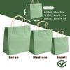 qiqee Small Mulit Color Gift Paper Bag with Handles Bulk for Rainbow Party - 8.3"x6"x3. 15" 100Pcs view 4