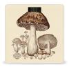 Vintage Mushrooms Drawing Scale with LCD Easy-to-Read Anti-Slip Weight Digital Bathroom Scale Precision Weighing Scales Sturdy Tempered Glass Body Weight Scales for Daily Use view 1