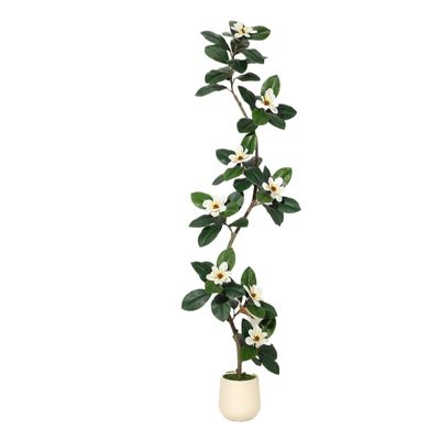 DkyyLau Modern Simulated Rubber Tree Bonsai, Paired with Magnolia Flowers, Suitable for Home and Office Decoration(7ft)