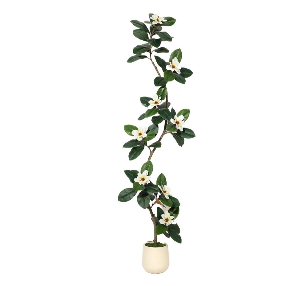 DkyyLau Modern Simulated Rubber Tree Bonsai, Paired with Magnolia Flowers, Suitable for Home and Office Decoration(7ft)
