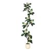 DkyyLau Modern Simulated Rubber Tree Bonsai, Paired with Magnolia Flowers, Suitable for Home and Office Decoration(7ft) view 1