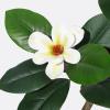 DkyyLau Modern Simulated Rubber Tree Bonsai, Paired with Magnolia Flowers, Suitable for Home and Office Decoration(7ft) view 3