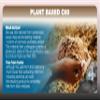 PHARMAKON C60 Enriched Olive Oil Capsules, Plant Based (180 Capsules) view 3