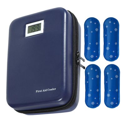 Cooler Bag Cooling Storage Box Case Temperature Display
