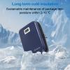 Cooler Bag Cooling Storage Box Case Temperature Display view 2
