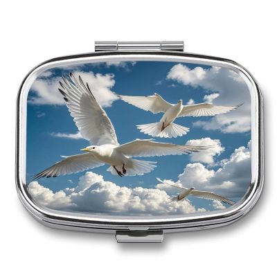 Loon BirdsMetal Pill Box 3-Compartment Portable Medication Boxs Compact Pill Case for Travel Vitamins Pill Organizer Daily Medication Storage Box