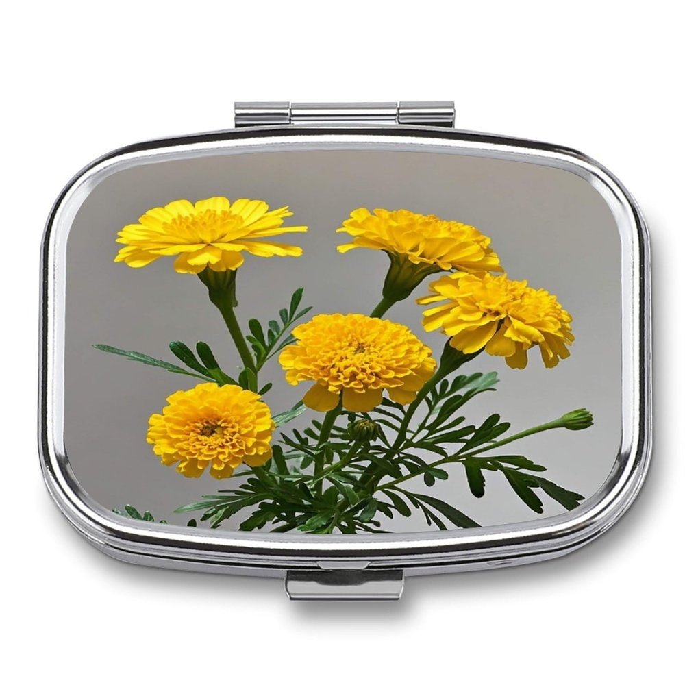 MarigoldMetal Pill Box 3-Compartment Portable Medication Boxs Compact Pill Case for Travel Vitamins Pill Organizer Daily Medication Storage Box