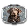 Brown Labrador RetrieverMetal Pill Box 3-Compartment Portable Medication Boxs Compact Pill Case for Travel Vitamins Pill Organizer Daily Medication Storage Box view 1