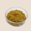 Bright sunlight 1.1 LB Sage Divinorum Extract 10% Carnosic Acid Powder view 2