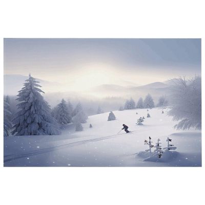 Winter Skiing Door Mat,Super Absorbent Entryway Rug Non-Slip Backing Kitchen Rug Heavy Duty Welcome Mats Natural Rubber Doormat Easy Clean Low Profile Mats for Decoration