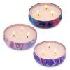 Lemongrass Citronella Candle, Large 3-Wick Outdoor Aromatherapy Tin, Soy Wax with Plant Essential Oils, Smokeless Oil Painting Design view 3