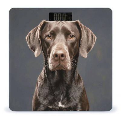 Dalmatian Digital Bathroom Scale for Body Weight Weighing Scale with Backlit LCD Display High Precision Measurements & Measures Weight Up to 180kg
