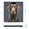 Dalmatian Digital Bathroom Scale for Body Weight Weighing Scale with Backlit LCD Display High Precision Measurements & Measures Weight Up to 180kg view 2
