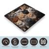 Cat Collection Digital Bathroom Scale for Body Weight Weighing Scale with Backlit LCD Display High Precision Measurements & Measures Weight Up to 180kg view 3