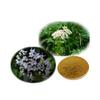 Bright sunlight Organic Valerian Extract 20:1 Powder 1.1LB (500g) view 2