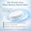4EverMints - Ginger Flavor 4-Hour Time-Release Breath Mints, 100 count view 3