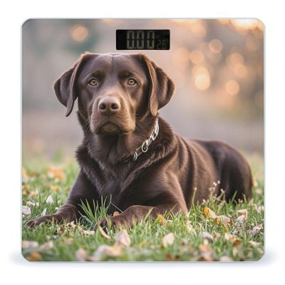 Brown Labrador Retriever Bathroom Scale for Body Weight with High Precision Large LCD Backlight Display Digital Weighing Scale with BMI Capacity Up to 180kg