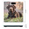 Brown Labrador Retriever Bathroom Scale for Body Weight with High Precision Large LCD Backlight Display Digital Weighing Scale with BMI Capacity Up to 180kg view 2