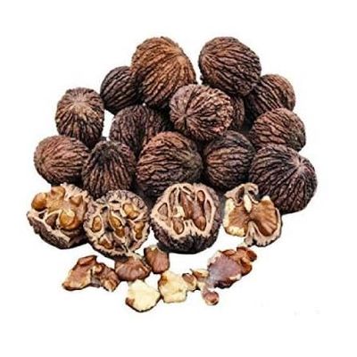 Black Walnuts in Shell - 1 lb Wild - Foraged Indiana Walnuts Whole Uunshelled Nuts for Baking, Snacking, Crafts & Outdoor Wildlife