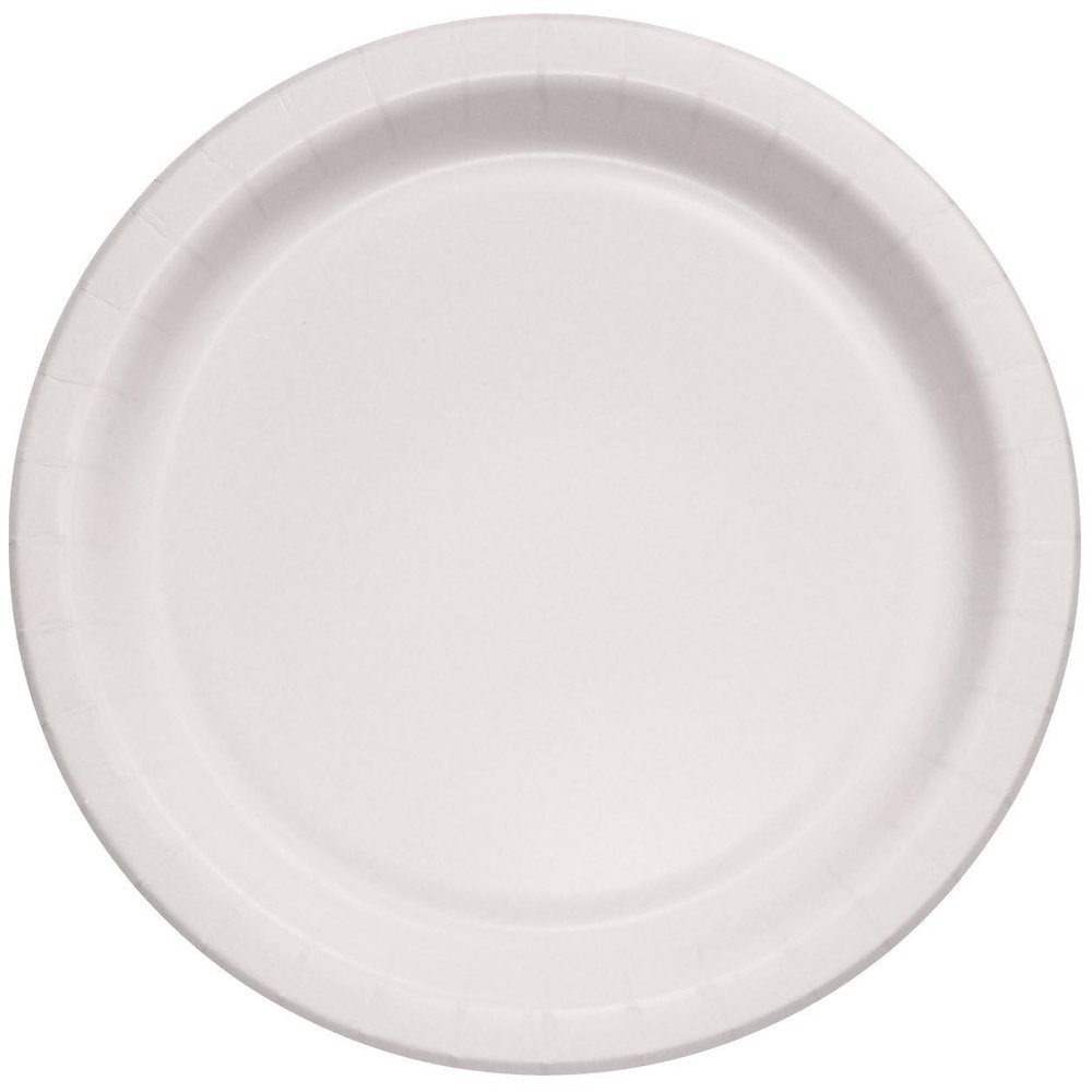 100 Pack Paper Round Plates, 9 Inch