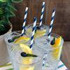 100 Pack Premium Navy Blue Striped Paper Straws, Blue and White Paper Drinking Straws Cake Pops Sticks Stirrer Disposable Biodegradable Straws (6x197mm view 3