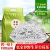 100% Natural Chinese Traditional tea 1949/ view 3