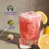 Mingle Mocktails Berry Lemon Bliss, Nootropic, 24 Pack, 12 fl oz Cans view 2
