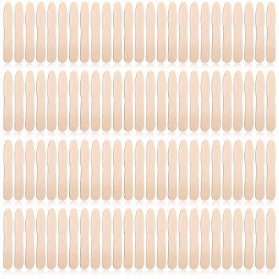 2000 Pcs Wooden Ice Cream Spoon Bulk Mini Disposable Tasting Spoons Set Wooden Small Sample Ice Cream Sticks for Dessert Sampling Crafts