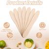 2000 Pcs Wooden Ice Cream Spoon Bulk Mini Disposable Tasting Spoons Set Wooden Small Sample Ice Cream Sticks for Dessert Sampling Crafts view 4