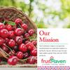 fruitHaven Yogurt Covered Dried Cherries, Freshly Handpicked and Dried, Smothered in Delicious Yogurt, Grower Owned Since 1973 (4lb Box) view 4