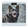 Black German Shepherd Dog Scale for Body Weight Highly Accurate Digital Bathroom Scale Sturdy Tempered Glass Weighing Scales with LCD Display Fashion Body Fat Smart Scales 400lb view 1