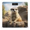 Meerkat Animal Scale for Body Weight Highly Accurate Digital Bathroom Scale Sturdy Tempered Glass Weighing Scales with LCD Display Fashion Body Fat Smart Scales 400lb view 1