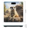 Meerkat Animal Scale for Body Weight Highly Accurate Digital Bathroom Scale Sturdy Tempered Glass Weighing Scales with LCD Display Fashion Body Fat Smart Scales 400lb view 2