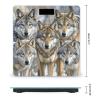 Different Colored Wolves Scale for Body Weight Highly Accurate Digital Bathroom Scale Sturdy Tempered Glass Weighing Scales with LCD Display Fashion Body Fat Smart Scales 400lb view 2