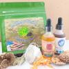 Stajcar Stoneworks Patriot Culinary Variety Pack Combat Vet Crafted Tea and Flavoring Gift Set Indian Pipe and Cordyceps Mushroom Liquid Flavor (3 Items) view 1