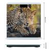 African Leopard Scale for Body Weight Highly Accurate Digital Bathroom Scale Sturdy Tempered Glass Weighing Scales with LCD Display Fashion Body Fat Smart Scales 400lb view 2