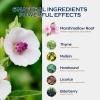 ORGANIHERBENCE Marshmallow Root Tincture, 6-in-1 Marshmallow Root Extract for Respiratory Health Support, Lung Cleanse Support & Immune Support. Herbal Supplement w/Thyme Mullein Elderberry. 2 oz view 3