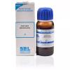 SBL Homeopathic Anethum Graveolens Mother Tincture 1X (Q) (30ml) - by Pharmazenix view 1